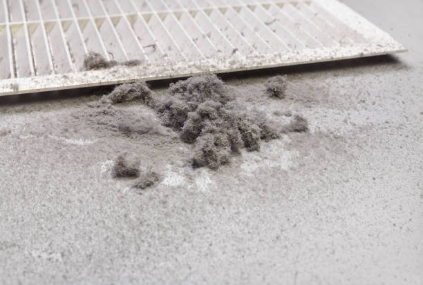 Affordable HVAC Duct Cleaning in Lakewood, IL