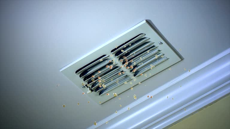 Best Affordable Air Duct Cleaning  in Lakewood, IL