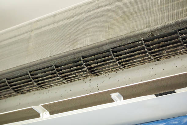 Best HVAC Air Duct Cleaning  in Lakewood, IL